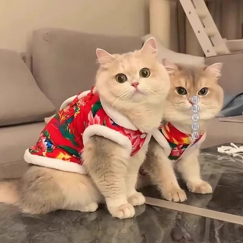 猫咪冬季衣服新年喜庆过年东北大花袄拜年衣宠物小猫加绒保暖棉衣