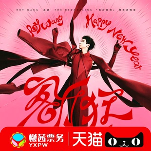 王源郑州站跨年演唱会门票 2025巡回演唱会看台内场前排代拍