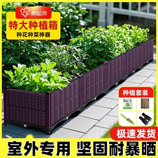 A50 四件套种菜专用箱家用种植箱家庭花箱加厚蔬菜sun 原起点
