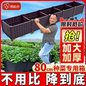 大号塑料种菜箱多款任选厂家直销