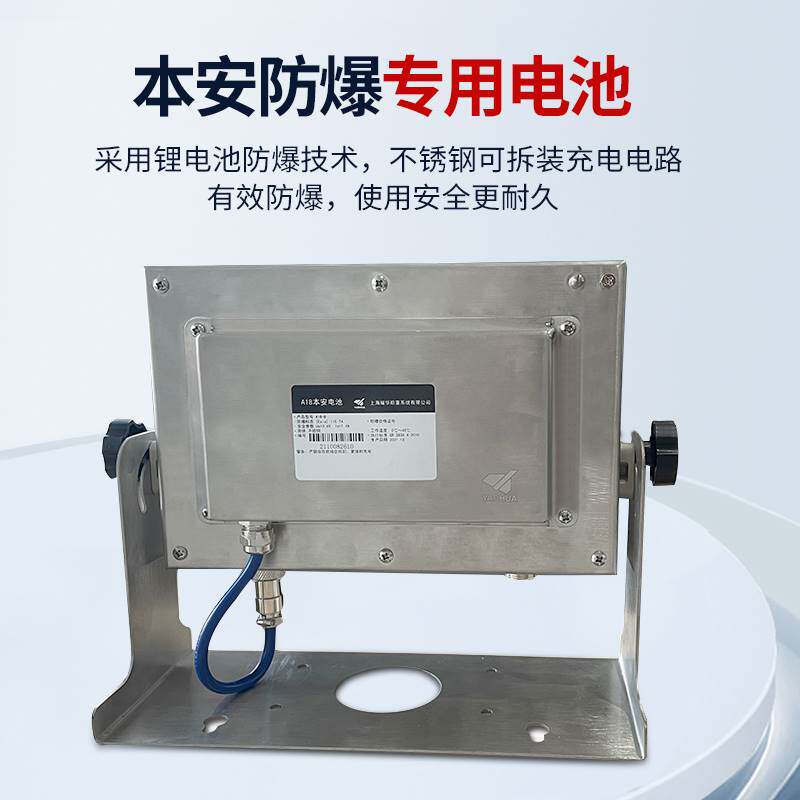 上海耀华xk3190-ex-a18本安型防爆电子称台秤称重控制器a8正品