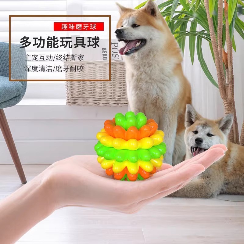 狗狗咬胶磨牙自嗨逗球
