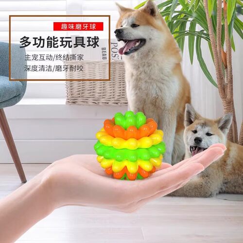 狗狗咬胶磨牙自嗨逗球