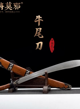 干将莫邪龙泉市陈少卫牛尾大刀太极刀武术硬刀表演练单刀晨未开刃