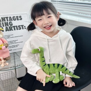 男童立体玩偶恐龙衣服女童卫衣春秋款2024新款连帽儿童上衣女孩潮