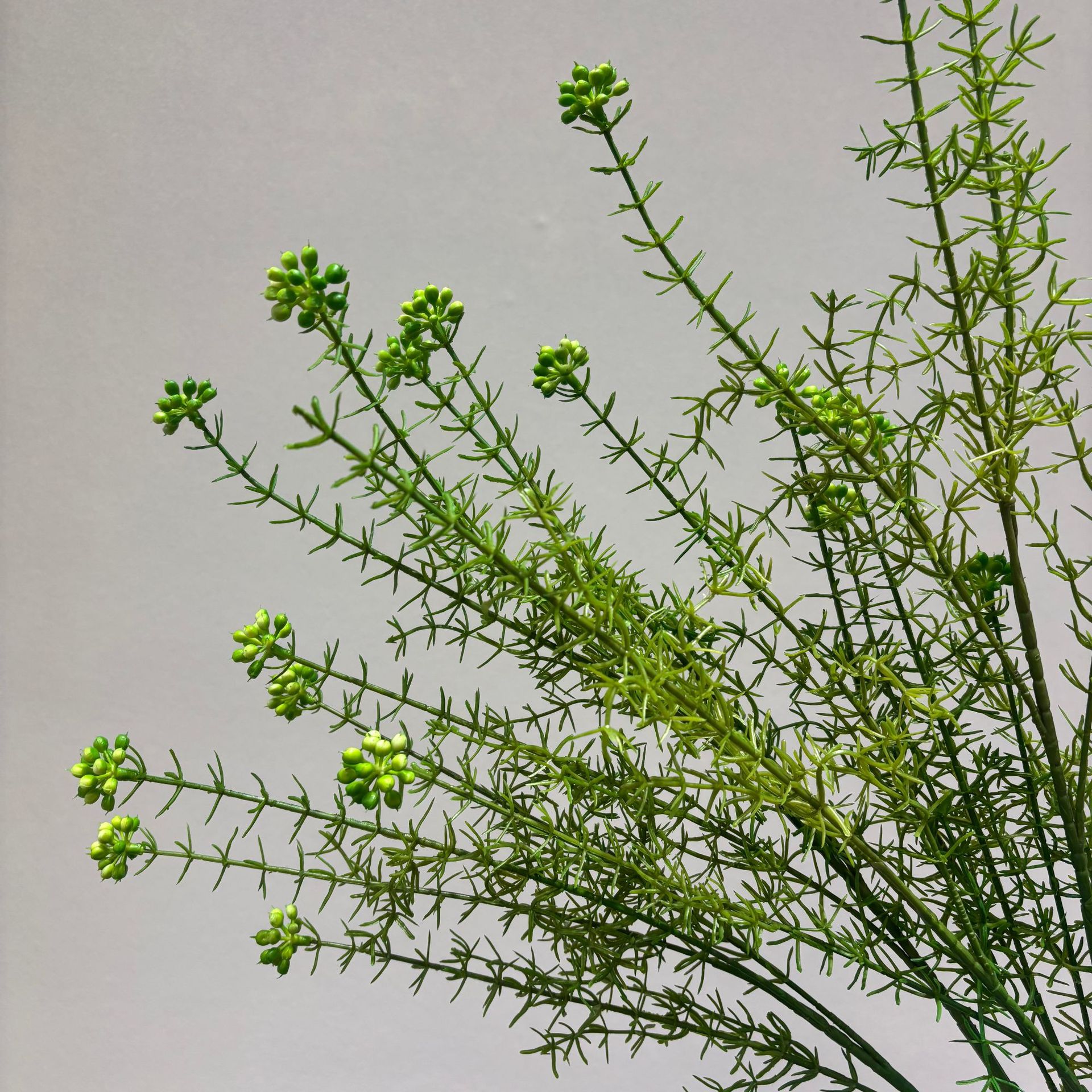 绿色仿真植物森系花韩蕨