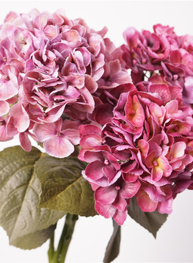 仿真花3D手感保湿大绣球