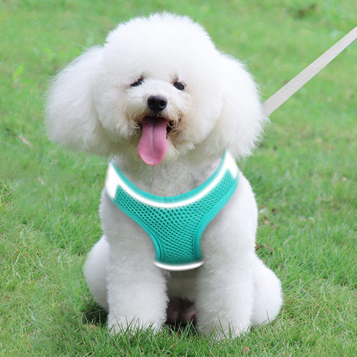 狗狗背心式牵引绳小型犬
