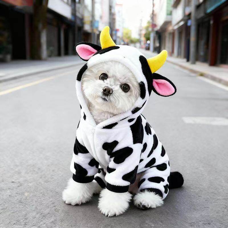 狗狗衣服可爱超萌春季新