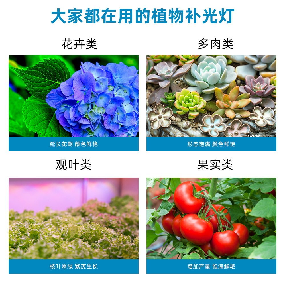 LED植物生长灯泡E27绿植