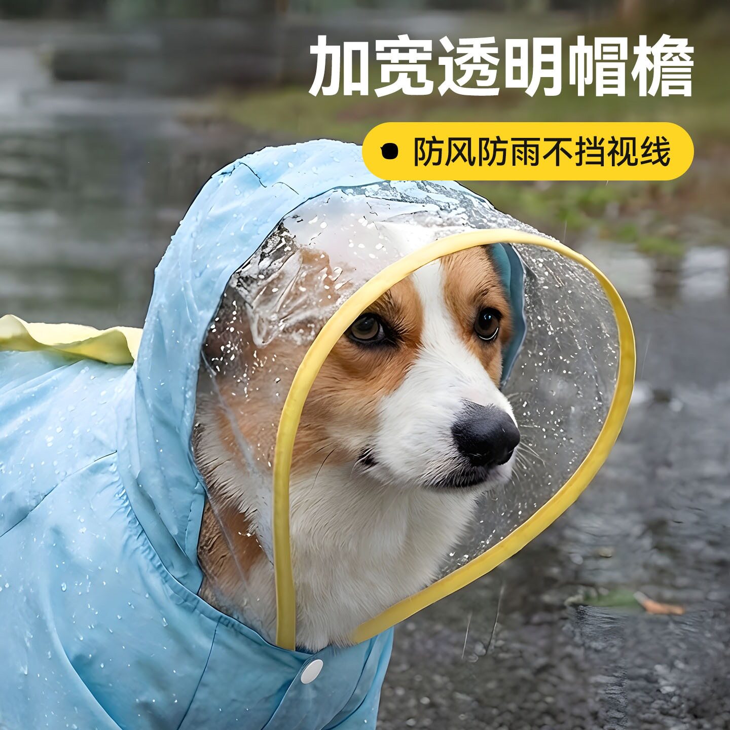 狗狗雨衣雨天宠物衣服四