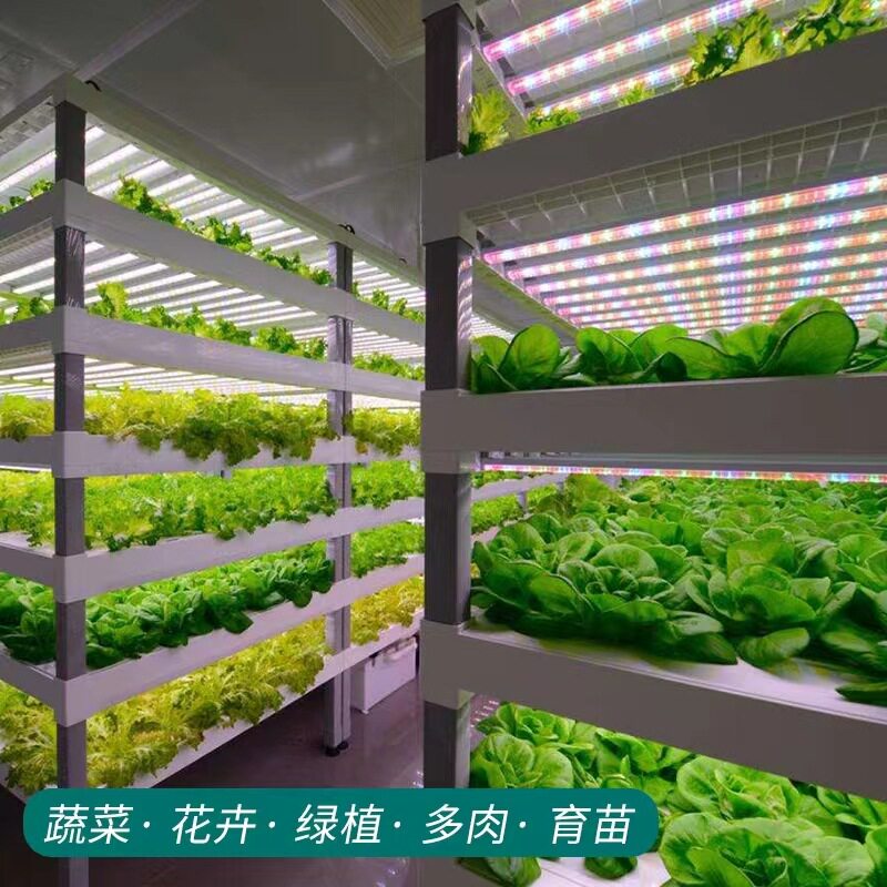 植物灯生长灯LED全光谱仿