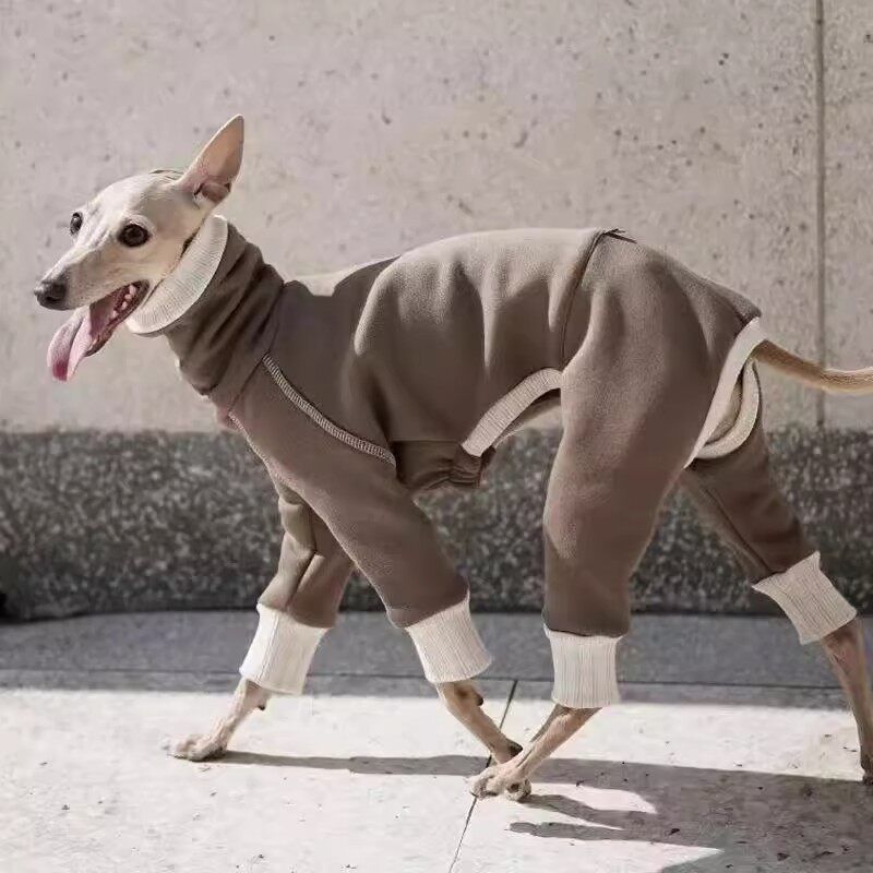 宠物衣服加绒小灵缇惠比