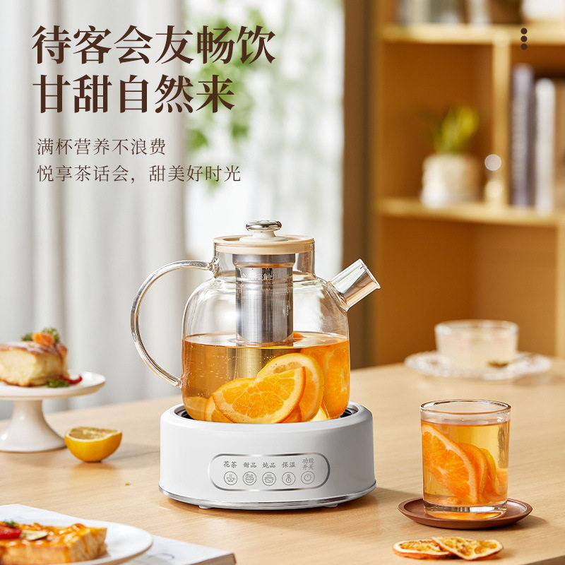 多功能养生壶家用办公室