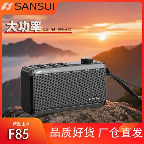 2026高配版F85音响新款蓝