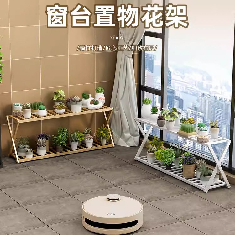 花架子室内阳台多肉植物