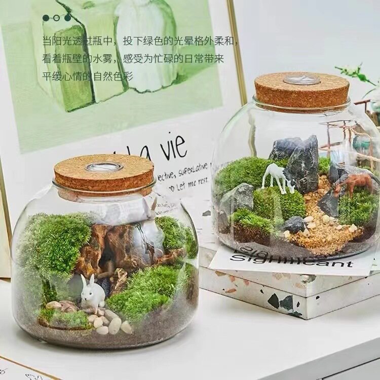 大号微景观生态瓶造景玻