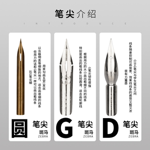 斑马蘸水笔金色G笔尖漫画笔杆圆笔尖D笔尖练字专用笔小楷秀丽笔