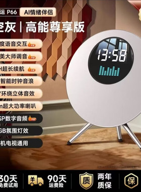 金运2025新款音响家用客厅环绕摆件蓝牙k歌音箱无线政府补贴ktv