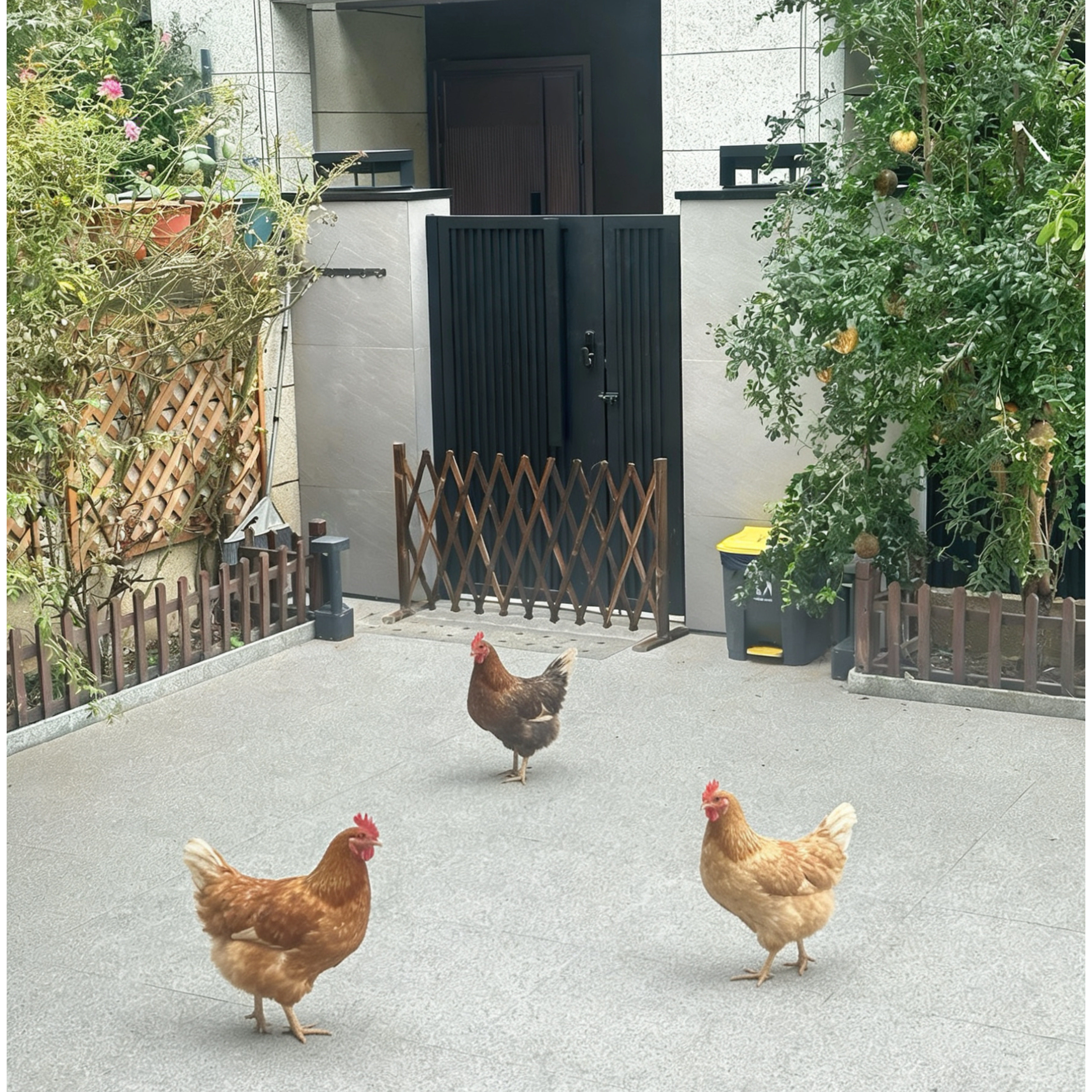 宠物围栏狗笼隔断拦狗栅栏阳台隔离门可伸缩栅栏门挡狗挡猫兔护栏,宠物/宠物食品及用品,狗笼子,淘宝优惠券,粉丝福利购,淘宝优惠卷