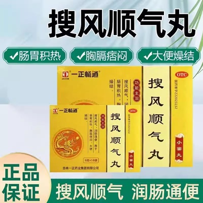 [一正]搜风顺气丸0.2g*45丸*10袋/盒