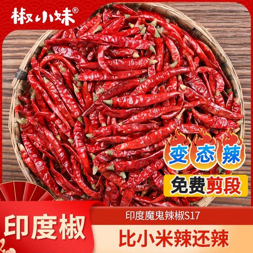 印度魔鬼辣椒S17特辣干辣椒蘸料