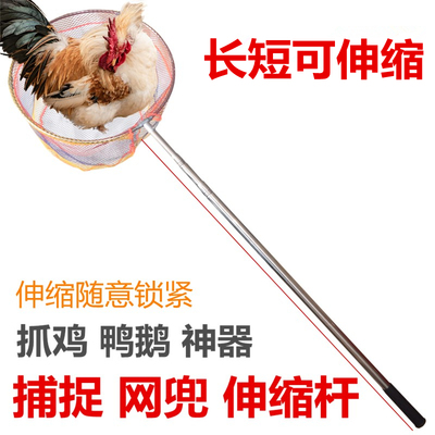 鸡鸭网兜神器捕鸽折叠伸缩