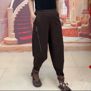 拉链口袋百搭裤 街头个性 休闲哈伦裤 裤 女 大码 垮裤 2024秋冬加厚新款