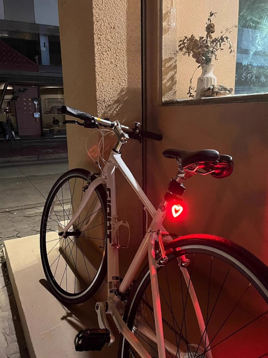 适用捷安特喜德盛山地自行车夜骑灯爱心后尾灯公路车usb充电骑行