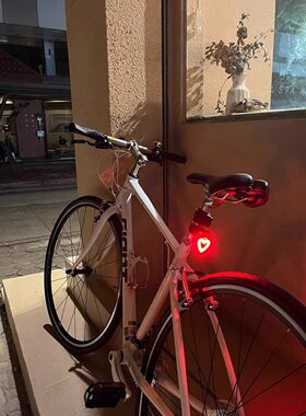 适用捷安特喜德盛山地自行车夜骑灯爱心后尾灯公路车usb充电骑行