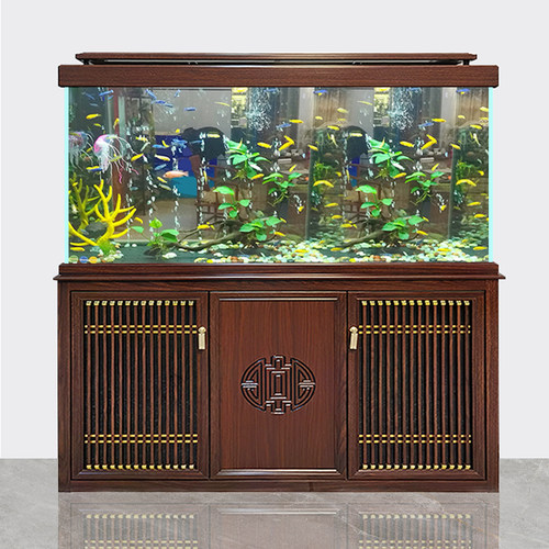 客厅超白玻璃龙鱼缸干湿分离