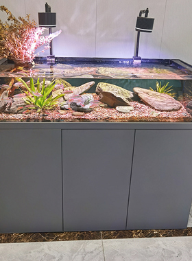 鱼缸水族箱底滤客厅超白玻璃兰寿溪流缸包背侧溢流生态海缸水草缸