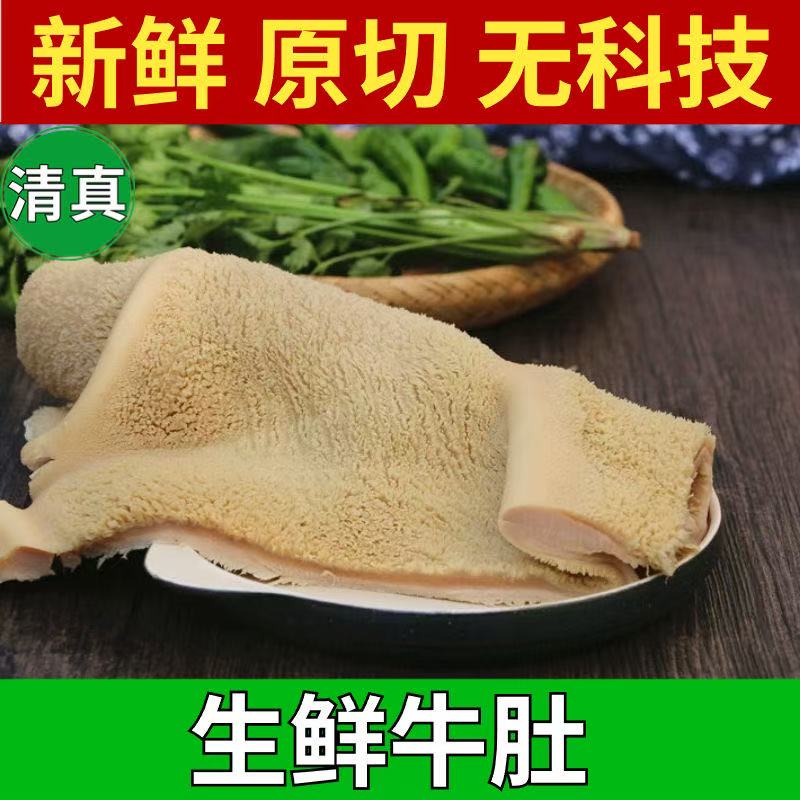 清真生鲜牛肚生牛肚子金钱肚清水手工褪毛牛大肚牛杂3斤4斤5斤装