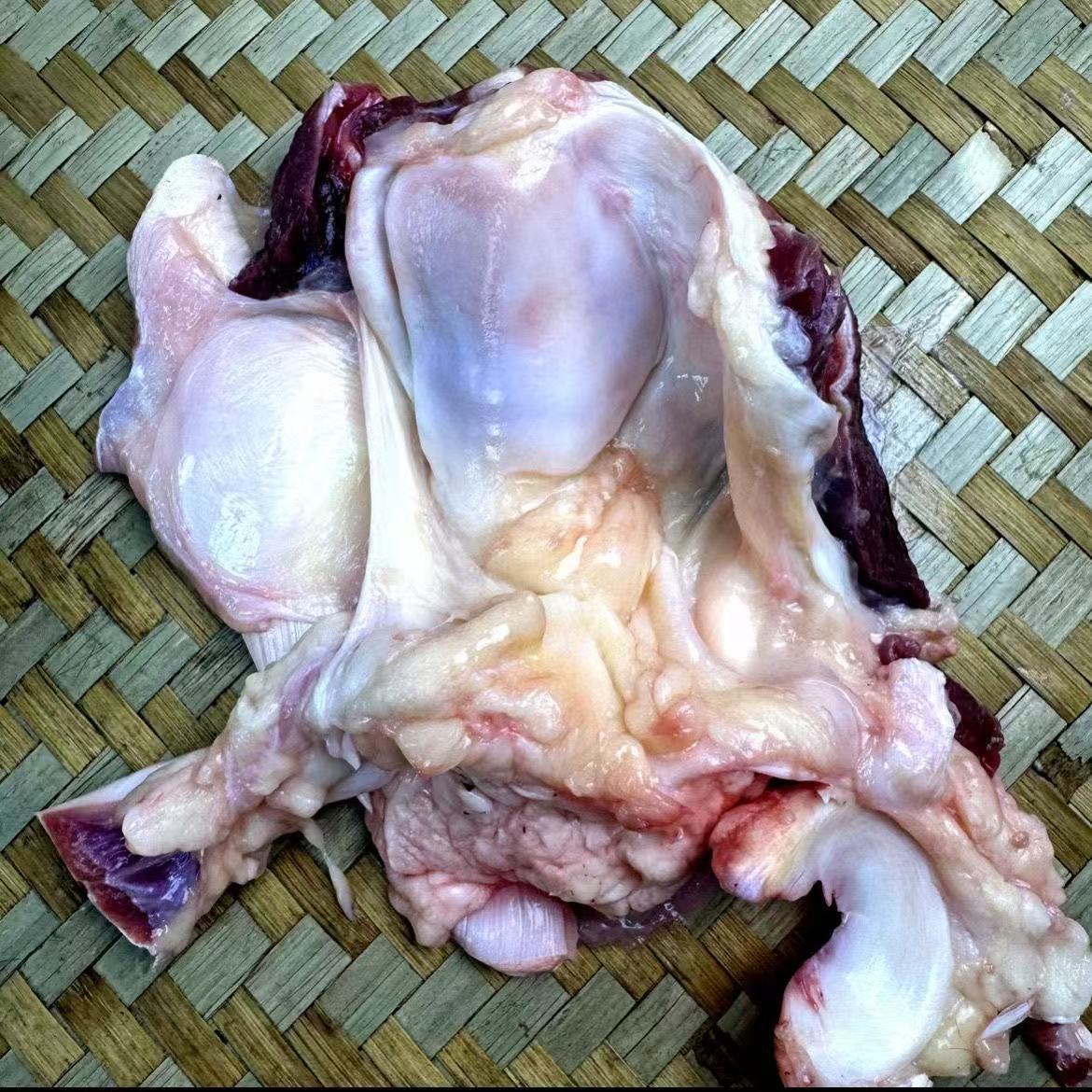 带肉带筋牛窝骨牛膝盖骨顺丰包邮2斤4斤5斤10斤牛波楞盖网红吃播