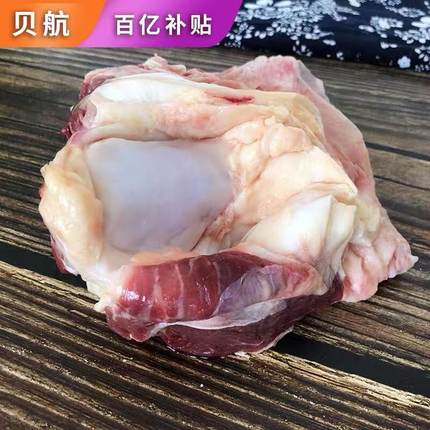带肉牛膝盖骨新鲜牛大骨牛骨头网红吃播黄牛牛窝骨2500g5斤装包邮