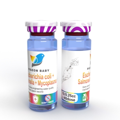 1瓶荷兰鸽宝贝大肠杆菌沙门氏菌巴氏杆菌霉形体鸽源毒株水剂疫苗