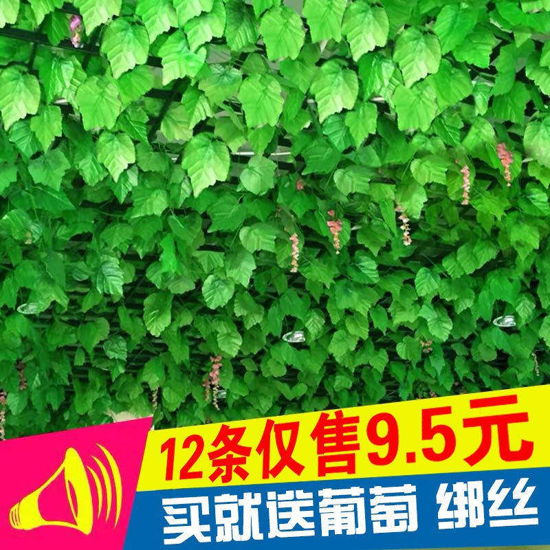 仿真葡萄叶藤条吊顶花藤装饰绿叶绿植物树叶塑料假花绿萝叶子藤蔓