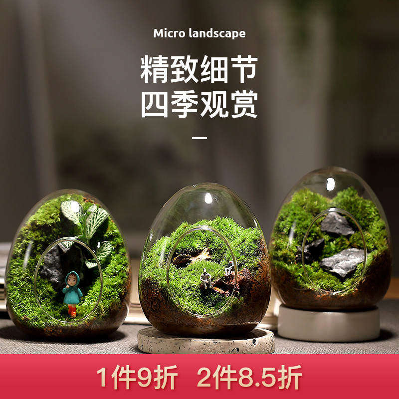 微观生态瓶玻璃蛋壳苔藓微景观盆栽桌面观赏绿植创意装饰品摆件