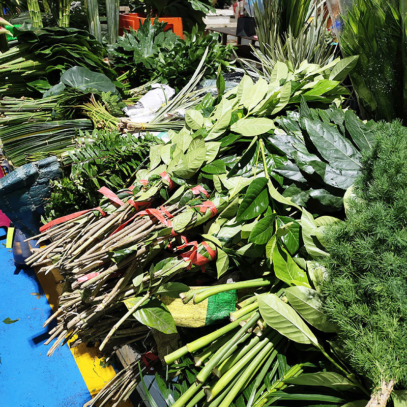 云南新鲜花配叶水养开业装饰鲜切花蓬莱松散尾叶龟背叶背景花材