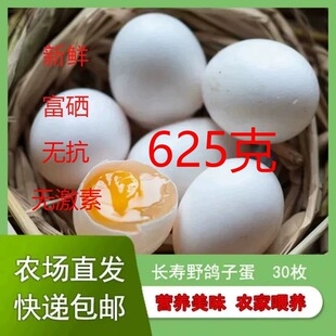 世界长寿之乡无抗富硒鸽子蛋新鲜30枚625克五谷杂粮孕妇宝宝辅食