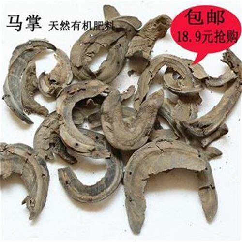 包邮天然马掌肥料马蹄片马蹄掌传统蛋白质缓释生物有机花肥养花