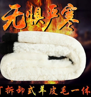 防寒裤 子男女加绒加厚羊皮棉裤 中老年保暖羊毛真皮皮毛一体裤 冬季