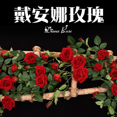 仿真玫瑰花藤藤蔓墙面壁