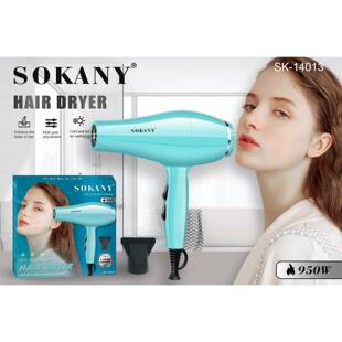跨境出口SOKANY14013吹风机家用发廊2 speed Hair Dryer电吹风
