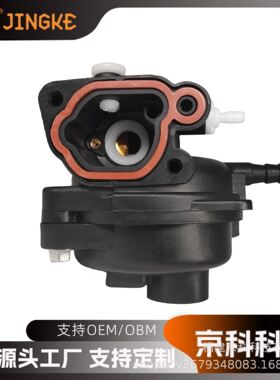 百利通化油器适用799583 594058 799584 590556 591979 595656