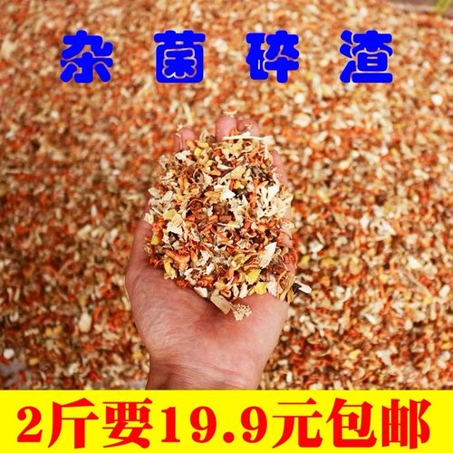 1000g干货煲汤材料云南野生菌