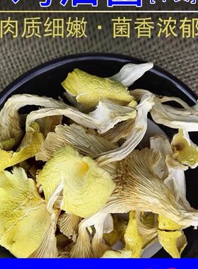 干货鸡油菌煲汤食用菌云南特产