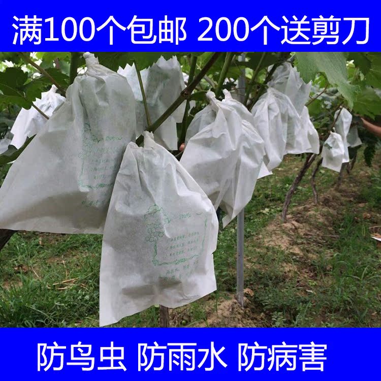 葡萄袋子防虫袋露天葡萄套袋果袋专用套袋防水套葡萄用纸袋育果袋