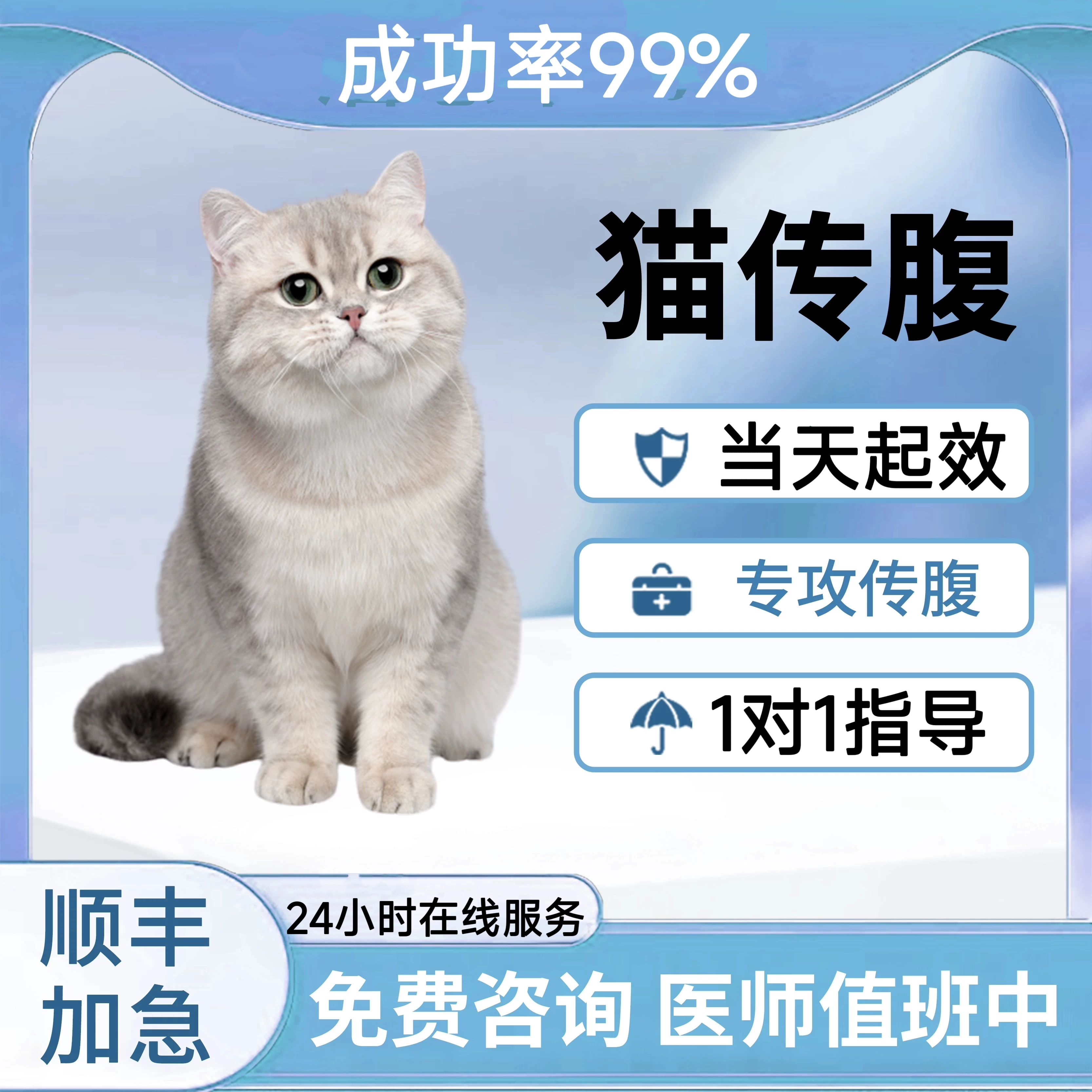 猫传腹口服片剂针剂 1