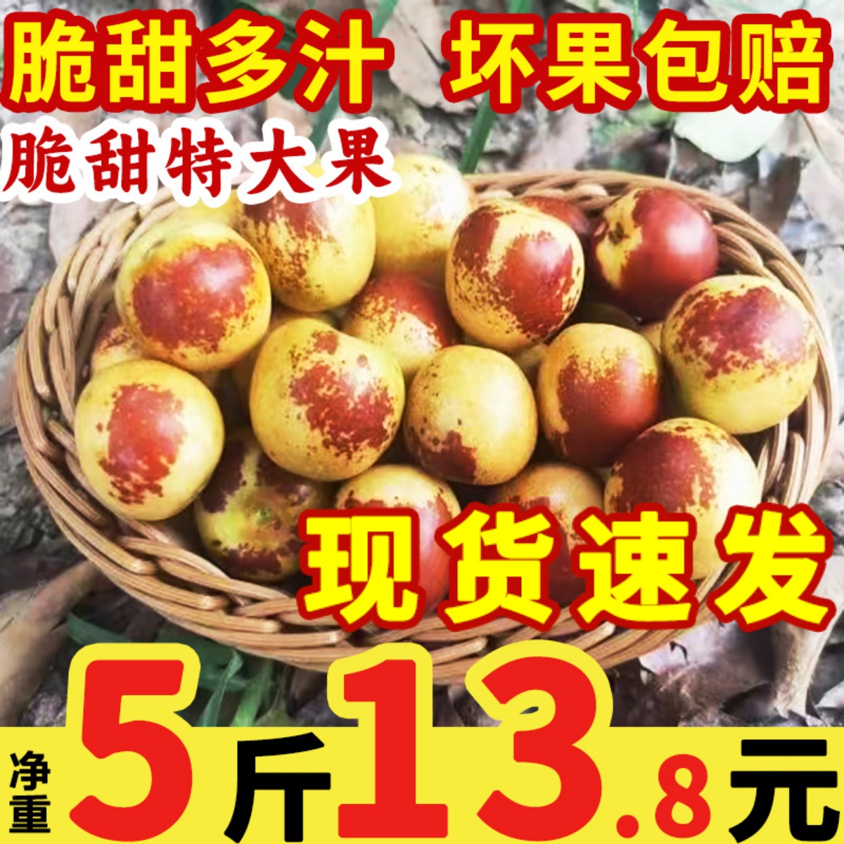 现货陕西大荔冬枣5斤枣子新鲜当季孕妇水果冰糖脆枣鲜枣甜枣大枣